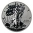 2011-P Reverse Proof Silver Eagle PR-69 PCGS (FS, Blue Label)