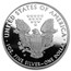 2011-W 1 oz Proof American Silver Eagle (w/Box & COA)
