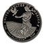 2011-W 1 oz Proof Platinum American Eagle PF-70 NGC (Castle)