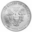 2011-W Burnished American Silver Eagle SP/MS-69 NGC