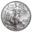 2011-W Burnished Silver Eagle MS-70 NGC
