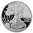 2011-W Proof American Silver Eagle PF-70 NGC (Black Insert)