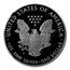 2011-W Proof American Silver Eagle PF-70 NGC (ER)
