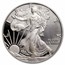 2011-W Proof American Silver Eagle PR-70 PCGS
