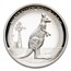 2012 Australia 1 oz Silver Kangaroo Proof High Relief (Coin Only)