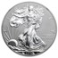 2012-S Reverse Proof American Silver Eagle PF-70 (Black Insert)