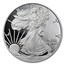 2012-W 1 oz Proof American Silver Eagle (w/Box & COA)
