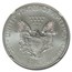 2012-W Burnished American Silver Eagle MS-70 NGC (ER, Castle)