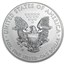2012-W Burnished American Silver Eagle (w/Box & COA)