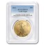 2013 1 oz American Gold Eagle MS-70 PCGS