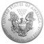 2013 1 oz American Silver Eagle BU