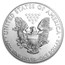 2013 1 oz American Silver Eagle (MintDirect® Single)