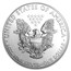 2013 1 oz Silver Eagle SF Mint (20-Coin MintDirect® Tube)