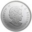 2013 Canada 1/2 oz Silver $10 Maple Leaf Painted (Coin Only)
