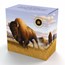 2013 Canada 1 oz Silver $100 Bison Stampede