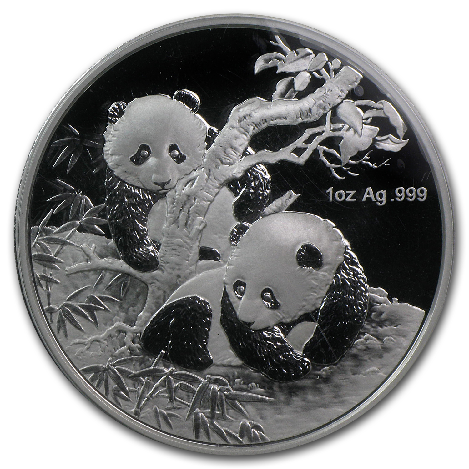 Buy 2013 China 1 oz Silver Panda Proof (Berlin World Money Fair