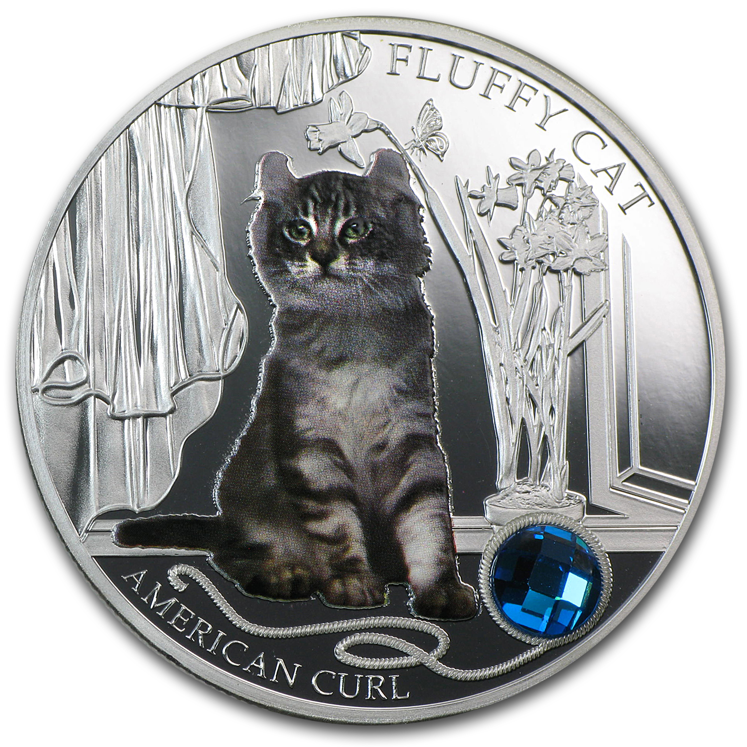 コレクション 2013 Fiji Fluffy Cat American Curl 2013-fiji-silver-dogs-cats-
