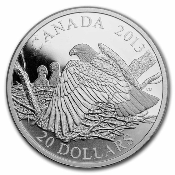 Buy 2013 RCM 1 oz Ag Bald Eagle Mother Protecting Her Nest PR-69 DCAM