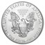 2013 (S) American Silver Eagle MS-70 NGC (Early Releases)