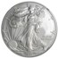 2013 (S) American Silver Eagle MS-70 NGC (First Releases)