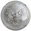2013 (S) American Silver Eagle MS-70 NGC