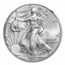 2013 (S) Silver Eagle MS-69 NGC (Golden Gate Bridge Label)