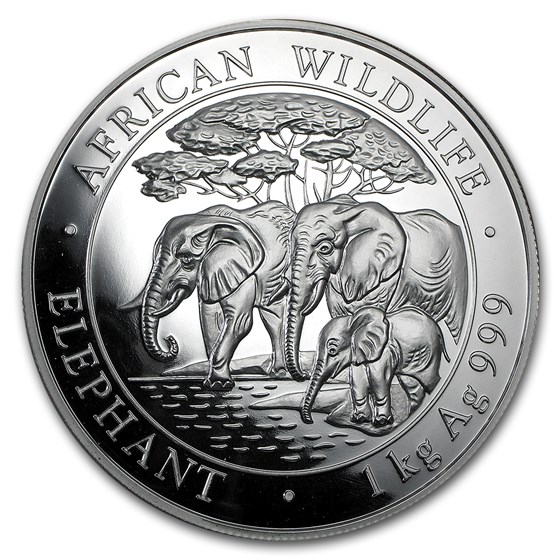 2013 Somalia 1 kilo Silver African Elephant (Light Abrasions) 2013 Somalia 1 kilo Silver African Elephant (Light Abrasions)