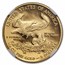 2013-W 1/10 oz Proof American Gold Eagle PF-70 NGC