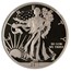 2013-W 1 oz Enhanced Finish Silver Eagle SP-70 NGC