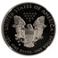 2013-W 1 oz Enhanced Finish Silver Eagle SP-70 NGC