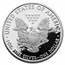 2013-W 1 oz Proof American Silver Eagle (w/Box & COA)