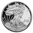 2013-W 1 oz Proof American Silver Eagle (w/Box & COA)