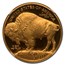2013-W 1 oz Proof Gold Buffalo PF-70 NGC (ER)