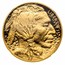 2013-W 1 oz Proof Gold Buffalo PF-70 NGC