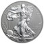 2013-W 1 oz Reverse Proof Silver Eagle (Capsule Only)