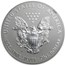 2013-W 1 oz Reverse Proof Silver Eagle (Capsule Only)