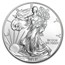 2013 (W) American Silver Eagle MS-70 NGC (Early Releases)
