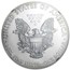 2013 (W) American Silver Eagle MS-70 NGC