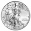 2013-W Burnished American Silver Eagle MS-69 NGC (Annual Set)
