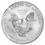 2013-W Burnished American Silver Eagle MS-69 NGC (Annual Set)