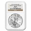 2013-W Burnished American Silver Eagle MS-69 NGC (Annual Set)