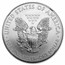 2013-W Burnished American Silver Eagle MS-70 NGC (ER)
