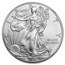 2013-W Burnished American Silver Eagle MS-70 NGC (ER)