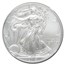 2013-W Burnished American Silver Eagle MS-70 NGC (FR)