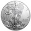 2013-W Burnished American Silver Eagle SP/MS-70 PCGS