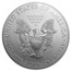 2013-W Burnished American Silver Eagle SP/MS-70 PCGS