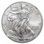 2013-W Burnished Silver Eagle MS-70 NGC (FR/ER)
