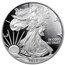 2013-W Proof American Silver Eagle PF-69 NGC (ER/FR)