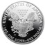 2013-W Proof American Silver Eagle PF-69 NGC (ER/FR)
