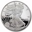 2013-W Proof American Silver Eagle PF-69 NGC